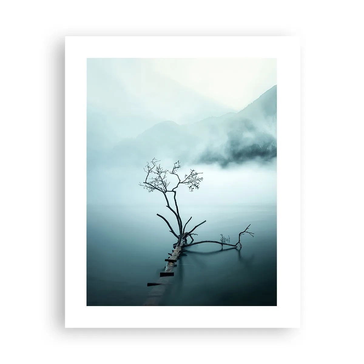 Póster - Fuera del agua y de la niebla - 40x50 cm