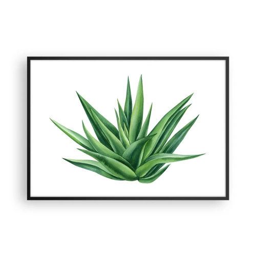 Póster en marco negro - Una planta verde jugosa sobre un fondo blanco. - 100x70cm - Verde - fuerza - vida - Decoración de pared moderna para salón y dormitorio ARTTOR