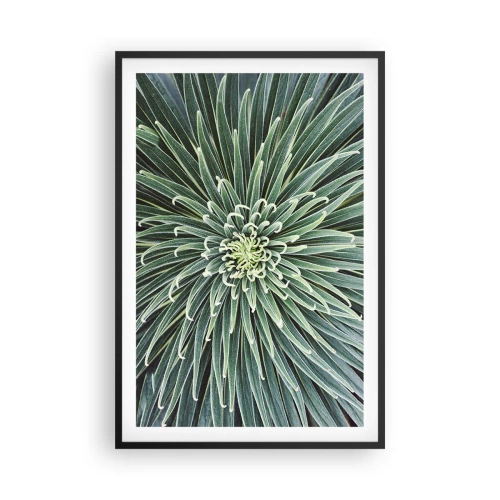 Póster en marco negro - El nacimiento de una estrella - 61x91 cm