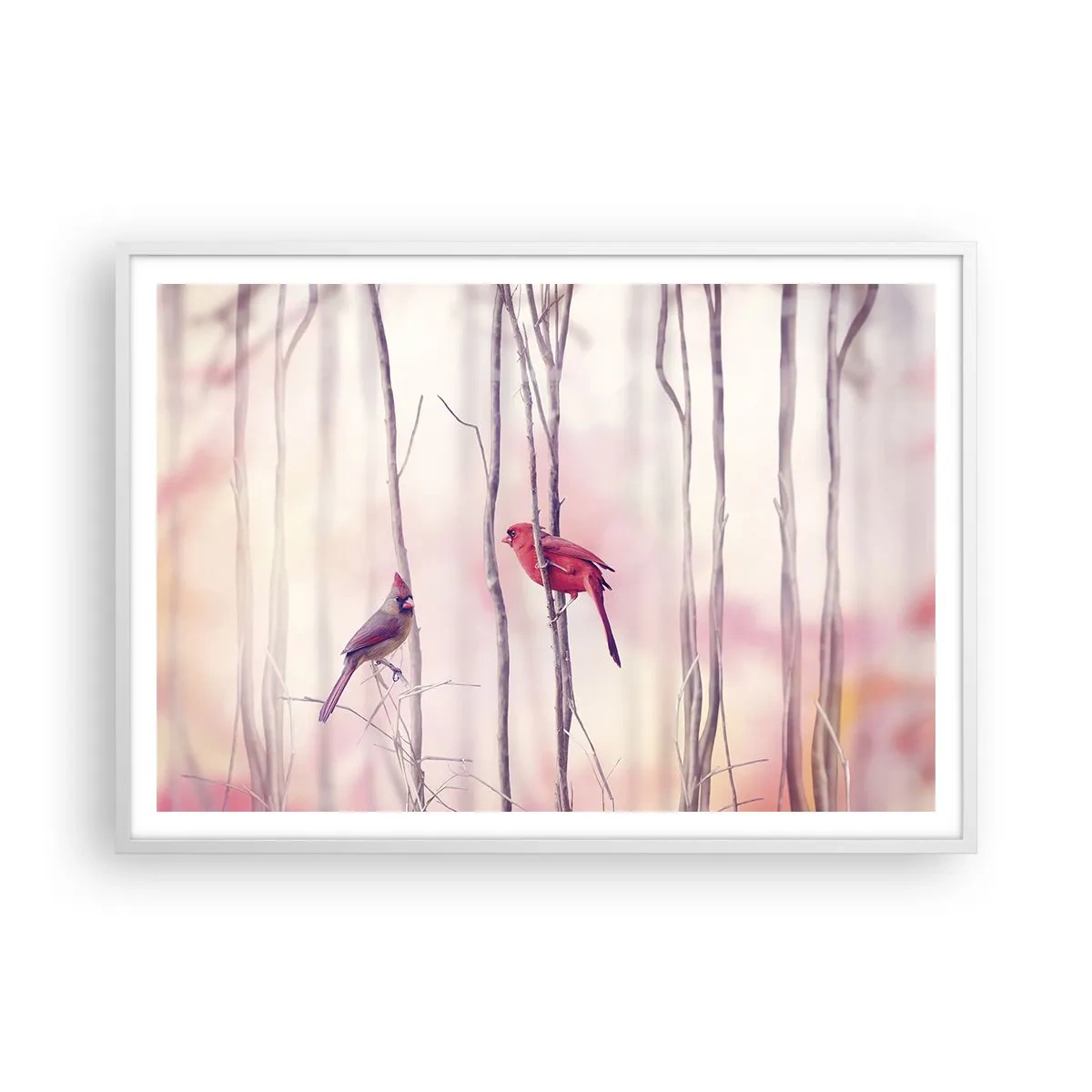 Póster en marco blanco - Historia de un bosque rosa - 100x70 cm
