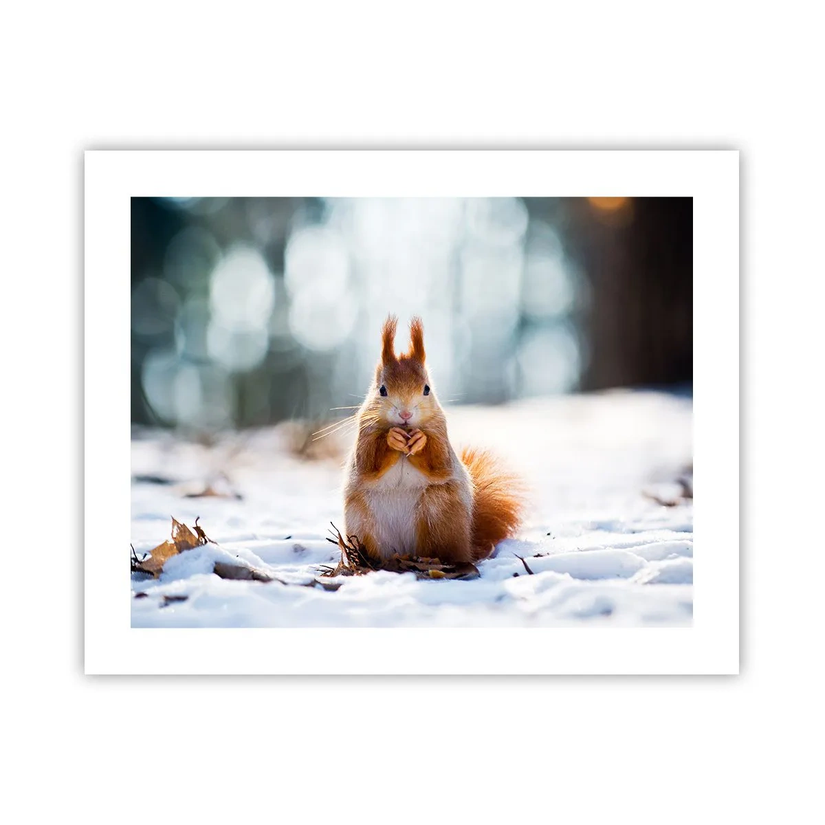 Póster - ¿Qué estás mirando? - 50x40 cm