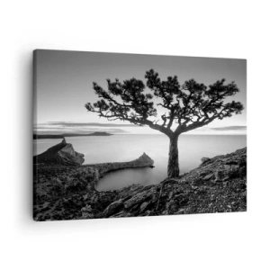 Cuadro sobre lienzo - Impresión de Imagen - Paisaje en blanco y negro con un árbol solitario en un acantilado sobre el mar. - 70x50cm - Calma hasta el horizonte - Decoración de pared moderna para salón y dormitorio ARTTOR