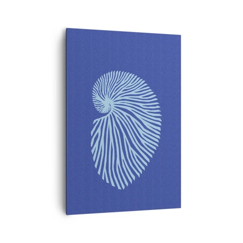 Cuadro sobre lienzo - Impresión de Imagen - Nacimiento de una concha - 70x100 cm