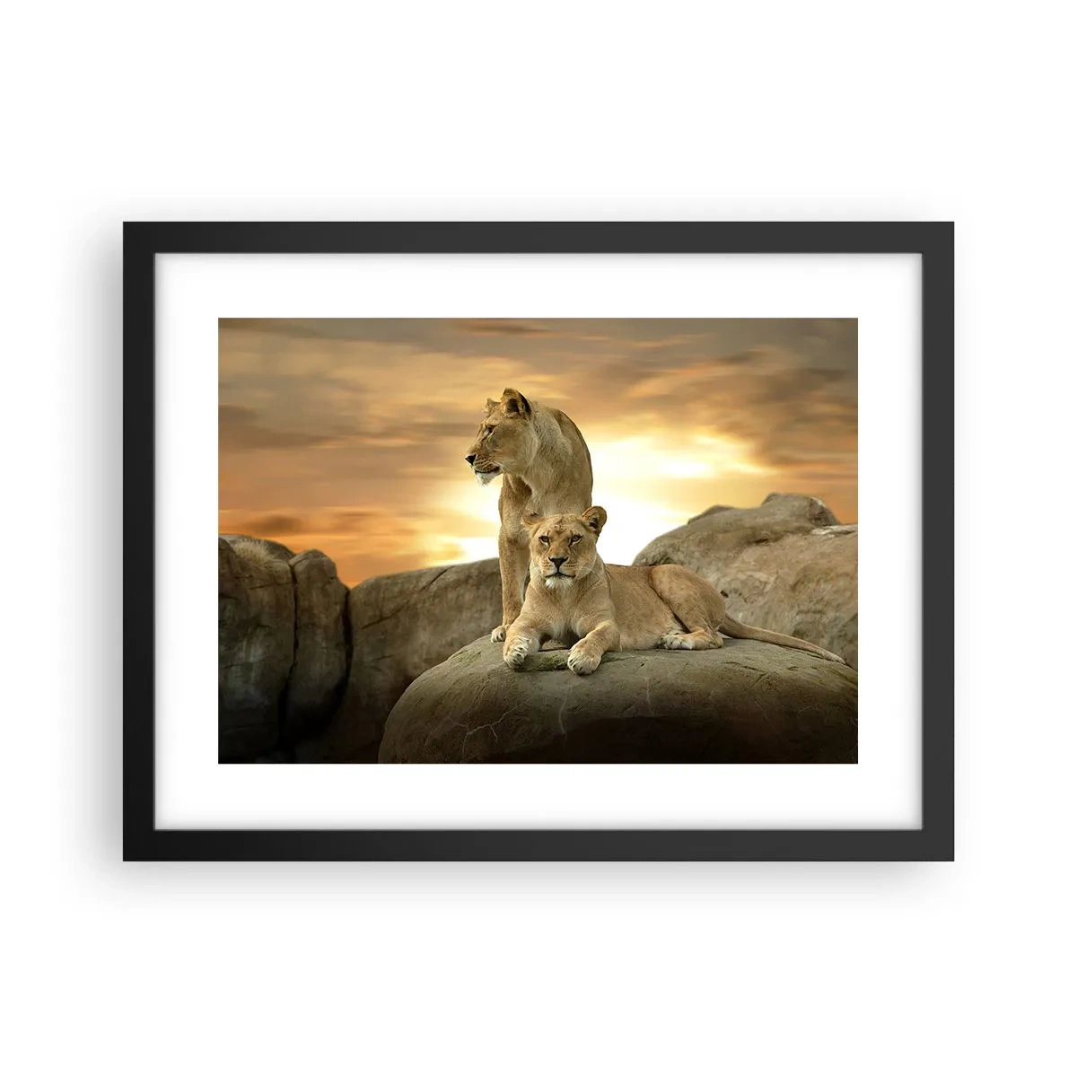 Póster en marco negro - Majestuosidad real - 40x30 cm