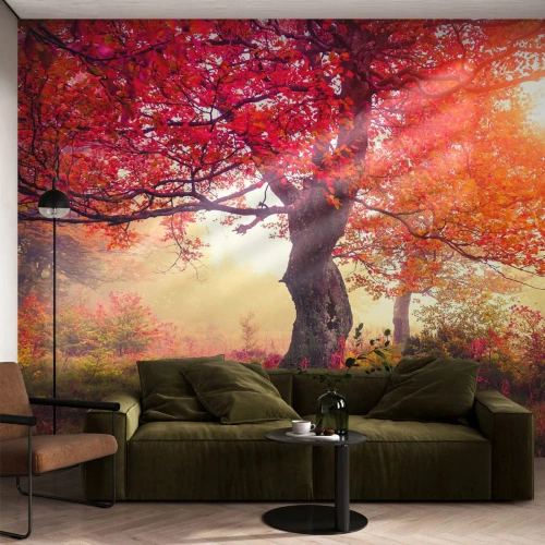 Fotomural Autadhesivo Deluxe Sticker - Un frenesí de floración - Paisaje, Parque, flores - 100x70 cm