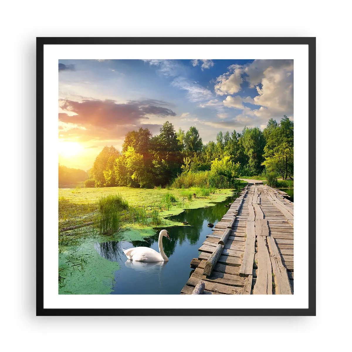 Póster en marco negro - Verano, verano en todas partes - 60x60 cm