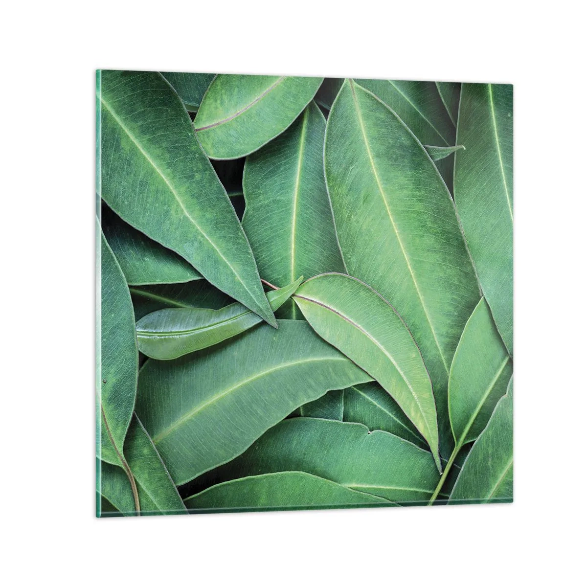 Cuadro sobre vidrio - Impresiones sobre Vidrio - Jugosidad y frescura - 30x30 cm