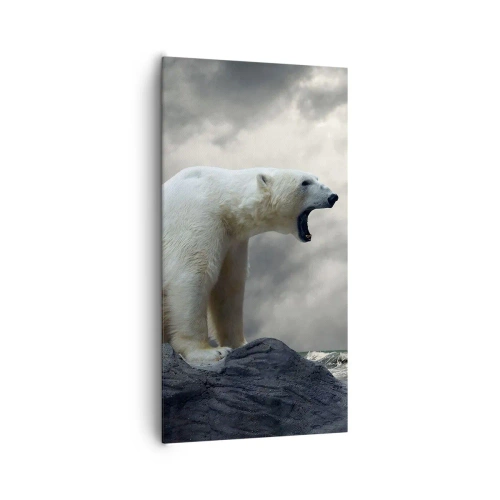 Cuadro sobre lienzo - Impresión de Imagen - El solitario rey del Ártico - 65x120 cm