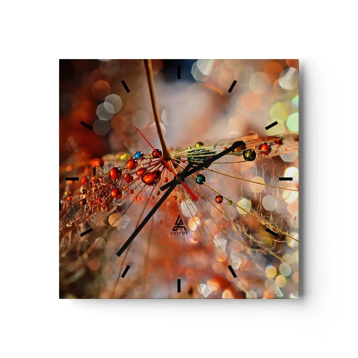 Reloj de pared - Reloj de vidrio - Fotografía macro de una gota de agua sobre una planta delicada. - 30x30cm - En una tela de araña - Decoración de pared moderna para salón y dormitorio ARTTOR