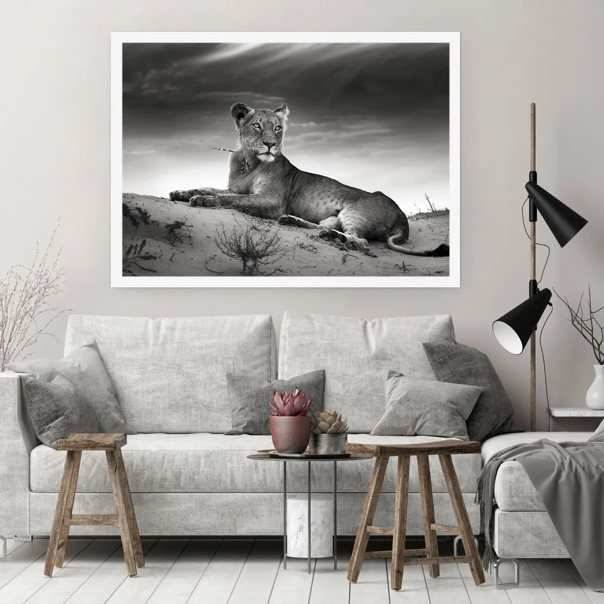 Póster - Descanso de la reina del desierto - 91x61 cm