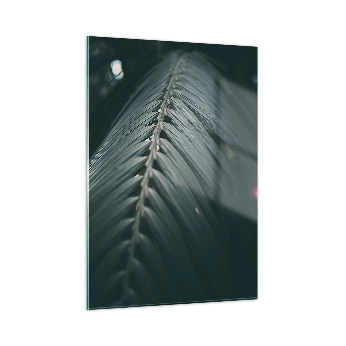 Cuadro sobre vidrio - Impresiones sobre Vidrio - Primer plano de una hoja de palma verde oscuro con reflejo de luz. - 50x70cm - La precisión de la naturaleza - Decoración de pared moderna para salón y dormitorio ARTTOR