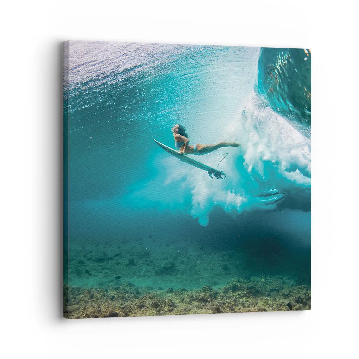 Cuadro sobre lienzo - Impresión de Imagen - Mundo submarino - 30x30 cm