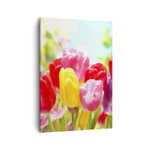 Cuadro sobre lienzo - Impresión de Imagen - Tulipanes coloridos en plena floración sobre un fondo primaveral. - 50x70cm - Somos nosotros, ¡los colores de mayo! - Decoración de pared moderna para salón y dormitorio ARTTOR