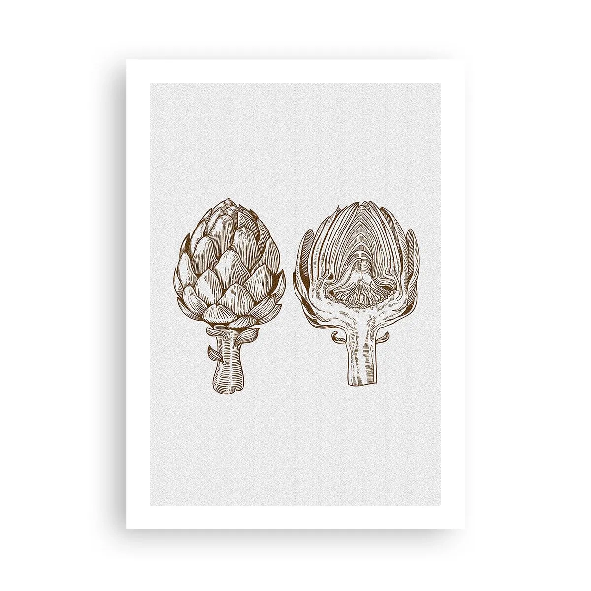 Póster - Ilustración vintage de dos alcachofas - 50x70cm - Lección de anatomía - Decoración de pared moderna para salón y dormitorio ARTTOR