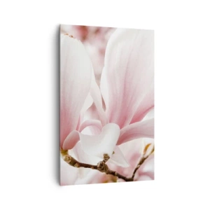 Cuadro sobre lienzo - Impresión de Imagen - Delicadas flores de magnolia en tonos pastel. - 80x120cm - Inmensidad de la ternura - Decoración de pared moderna para salón y dormitorio ARTTOR