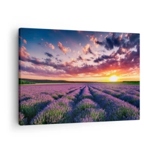 Cuadro sobre lienzo - Impresión de Imagen - Un campo de lavanda al atardecer con un cielo colorido. - 70x50cm - El mundo de la lavanda - Decoración de pared moderna para salón y dormitorio ARTTOR