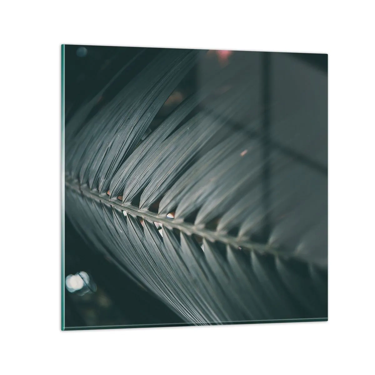 Cuadro sobre vidrio - Impresiones sobre Vidrio - La precisión de la naturaleza - 30x30 cm