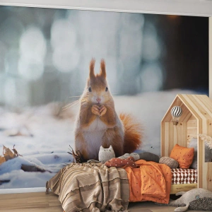 Fotomural Standard Eco - ¿Qué estás mirando? - animales, Ardilla, Invierno - 450x315 cm