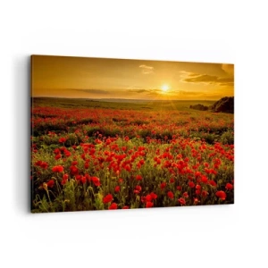 Cuadro sobre lienzo - Impresión de Imagen - Un campo de amapolas rojas bajo el resplandor del sol poniente. - 120x80cm - Entre los campos de flores - Decoración de pared moderna para salón y dormitorio ARTTOR