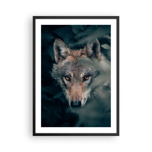 Póster en marco negro - Retrato de un lobo en un misterioso entorno forestal. - 50x70cm - Cazador - Decoración de pared moderna para salón y dormitorio ARTTOR