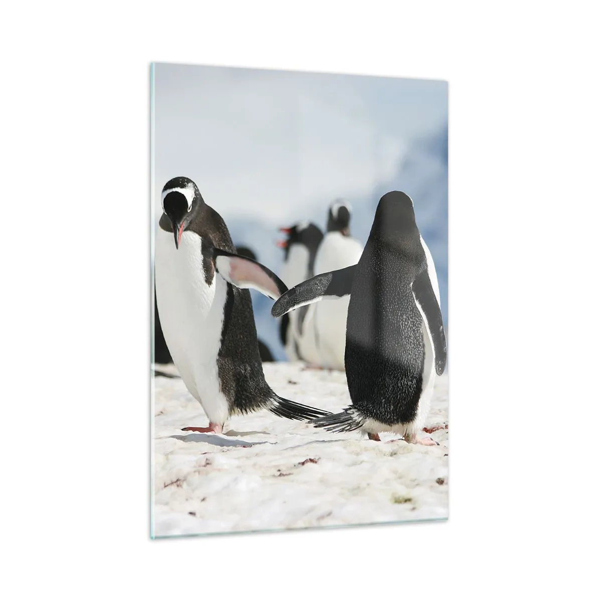 Cuadro sobre vidrio - Impresiones sobre Vidrio - Pingüinos en la nieve en un paisaje polar. - 50x70cm - Bailando en la nieve - Decoración de pared moderna para salón y dormitorio ARTTOR