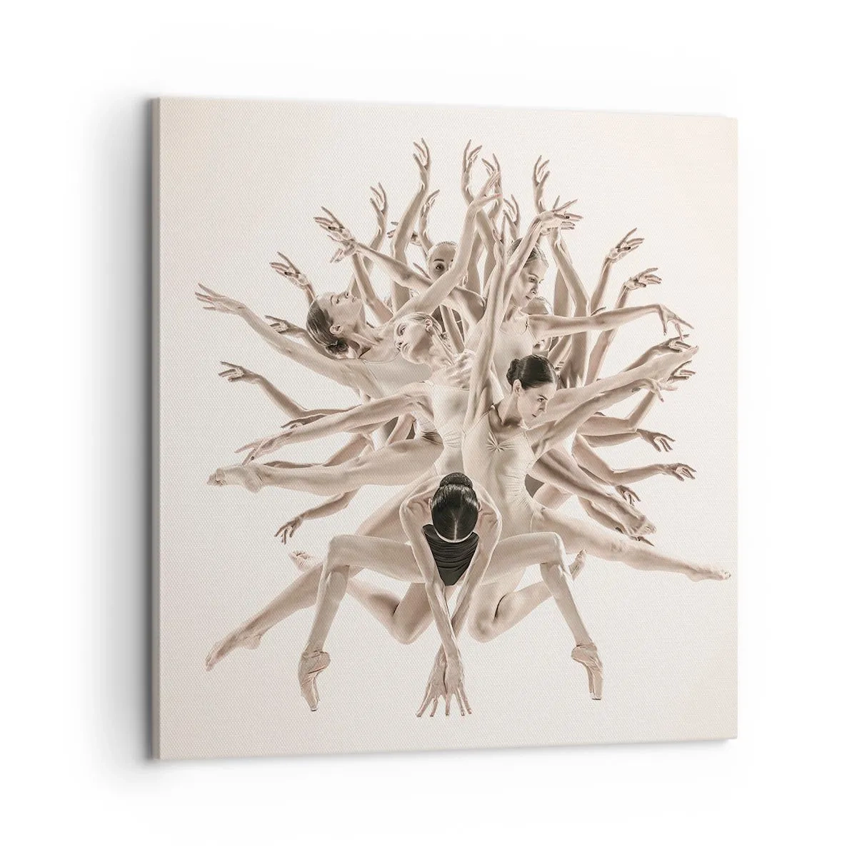Cuadro sobre lienzo - Impresión de Imagen - Floreciendo en la danza - 60x60 cm