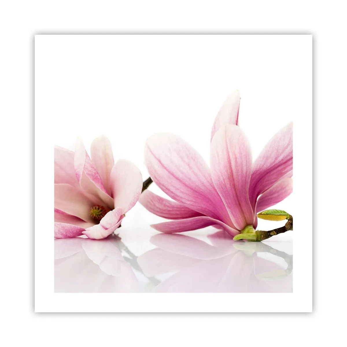 Póster - Suave como un soplo de primavera - 50x50 cm