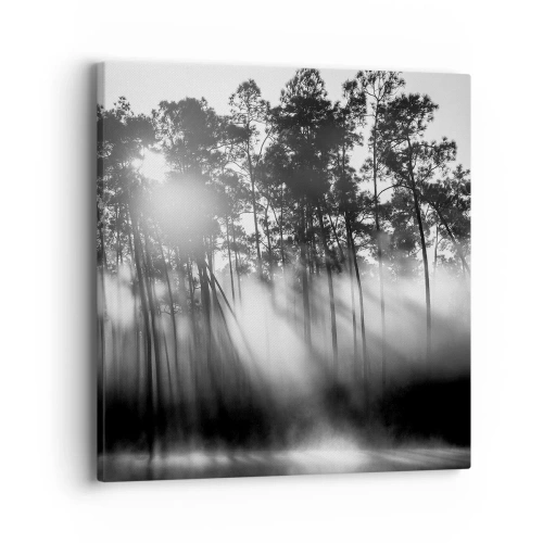 Cuadro sobre lienzo - Impresión de Imagen - Sol imparable - 40x40 cm