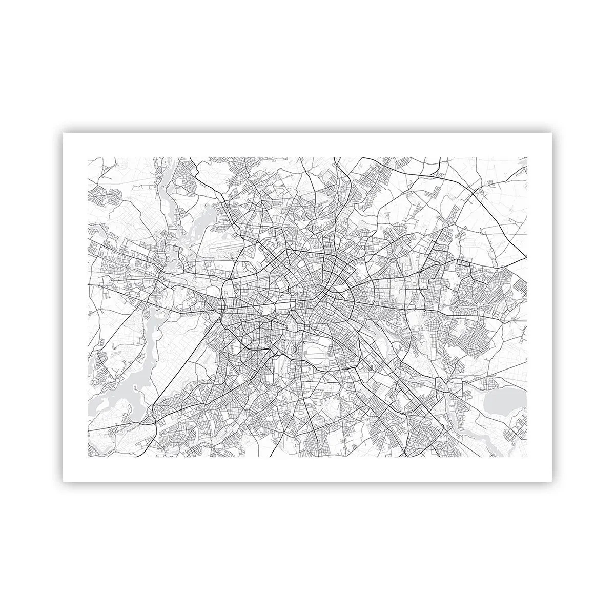 Póster - Flor de Berlín - 70x50 cm