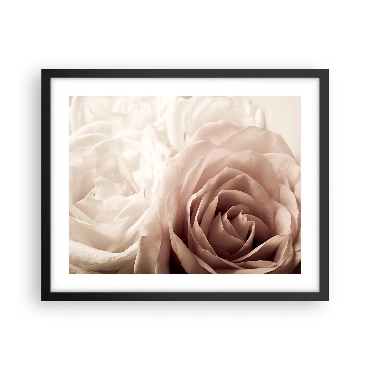 Póster en marco negro - En el corazón de una rosa - 50x40 cm