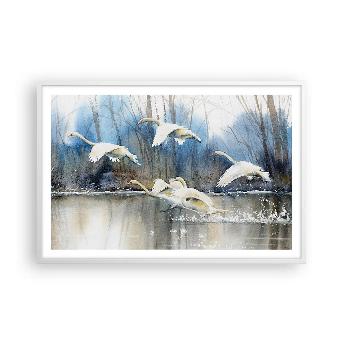 Póster en marco blanco - Como en un cuento de cisnes salvajes - 91x61 cm