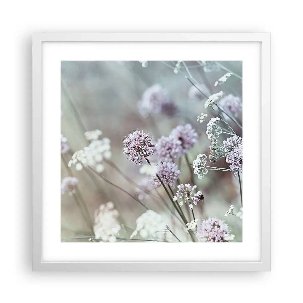 Póster en marco blanco - Dulces filigranas de hierbas - 40x40 cm