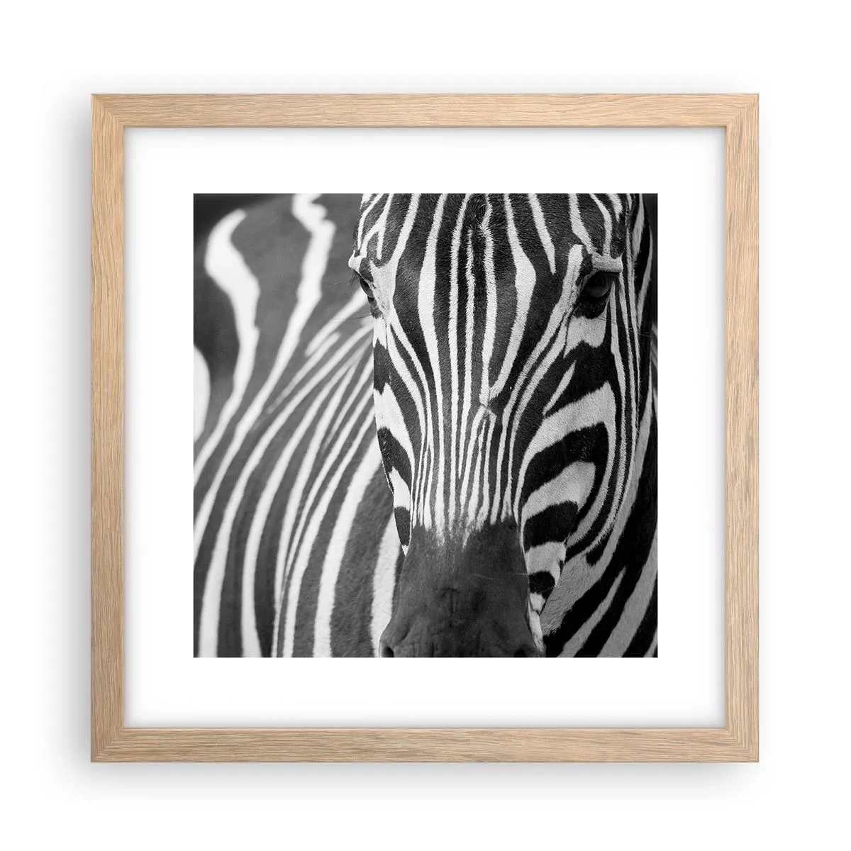 Póster en marco roble claro - El mundo es blanco y negro - 30x30 cm