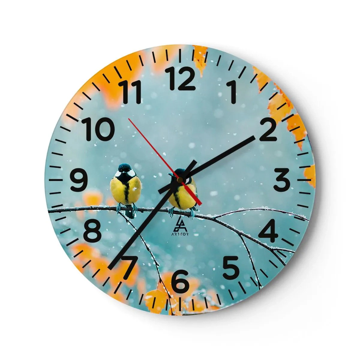 Reloj de pared - Reloj de vidrio - Cotilleo de pájaros - 30x30 cm