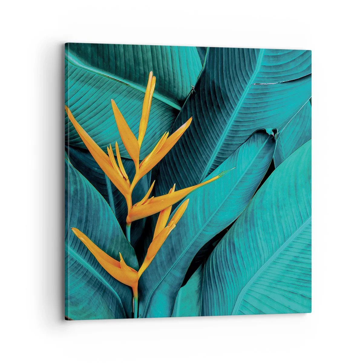 Cuadro sobre lienzo - Impresión de Imagen - Flor del Edén - 70x70 cm
