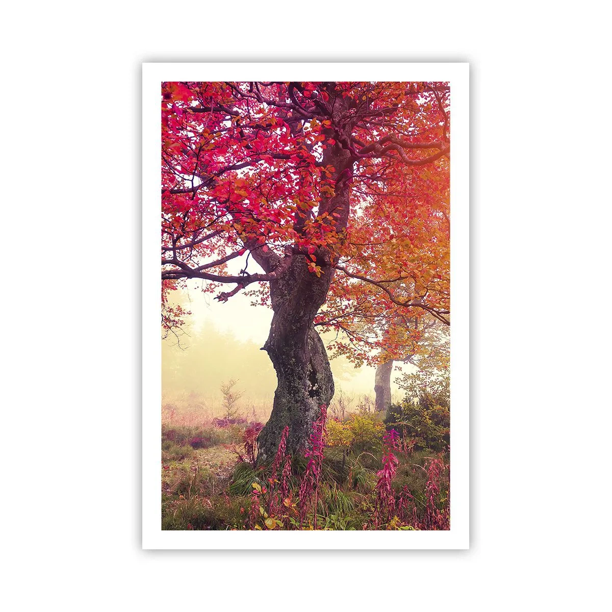 Póster - Un frenesí de floración - 61x91 cm