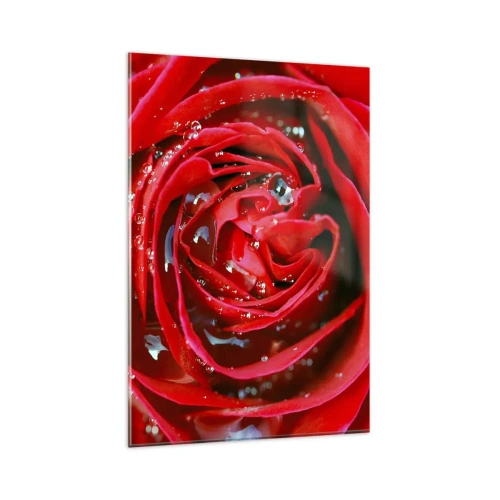 Cuadro sobre vidrio - Impresiones sobre Vidrio - Primer plano de una rosa roja con gotas de agua en los pétalos. - 80x120cm - En gotas de rocío - Decoración de pared moderna para salón y dormitorio ARTTOR