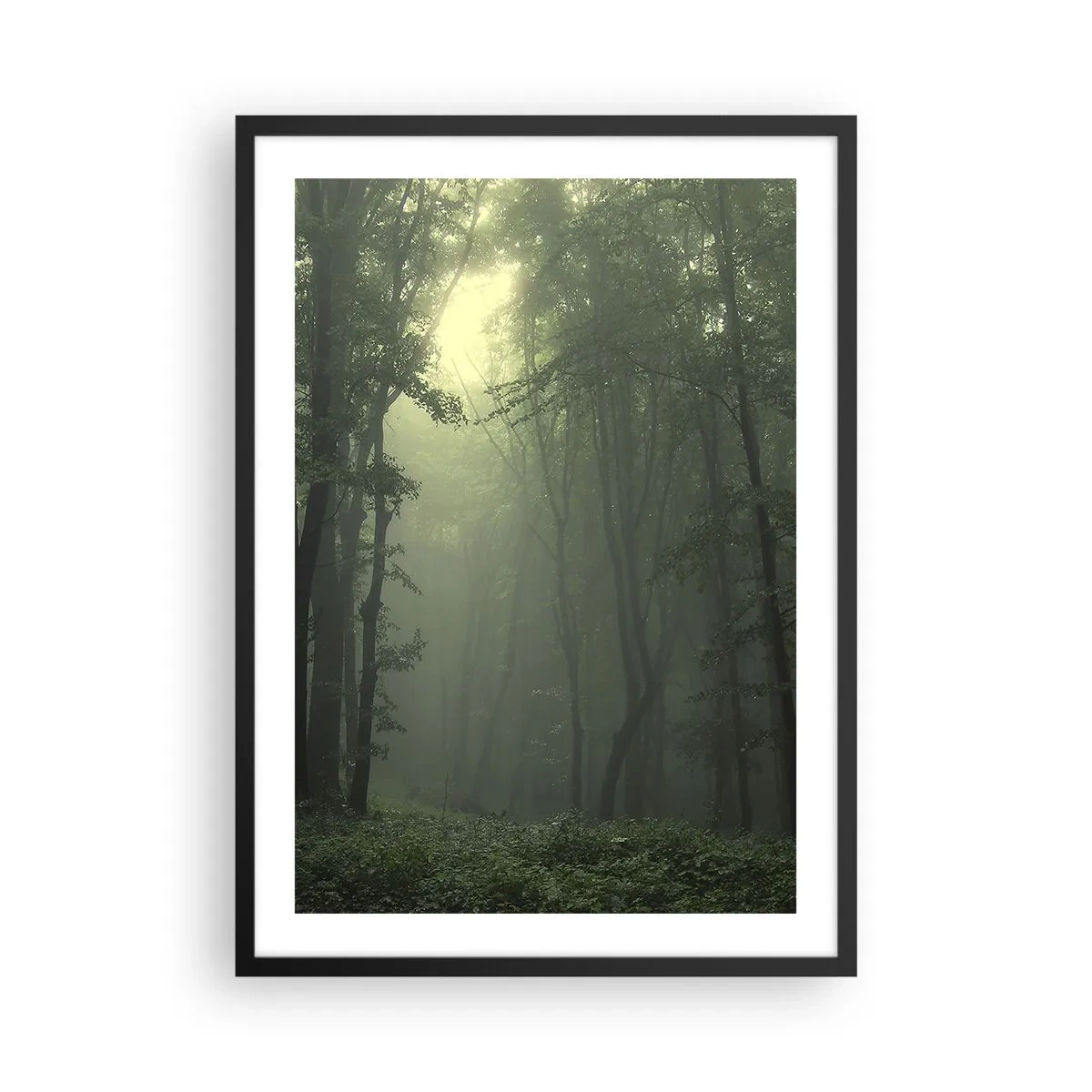 Póster en marco negro - Árboles brumosos en un bosque verde - 50x70cm - Antes de que se despierte el bosque - Decoración de pared moderna para salón y dormitorio ARTTOR