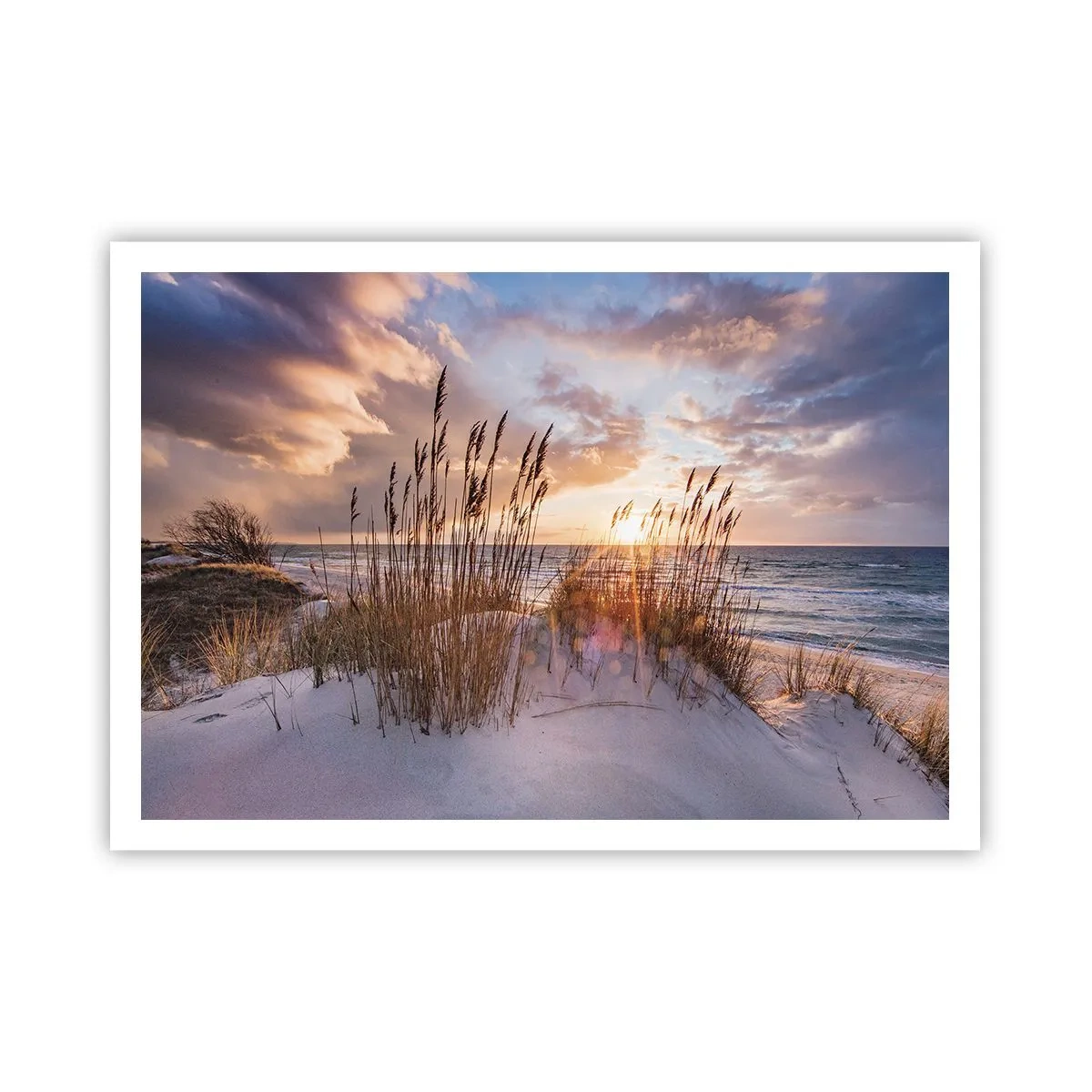 Póster - Dunas con hierbas con el sol poniente como telón de fondo - 100x70cm - Adiós al sol y al viento - Decoración de pared moderna para salón y dormitorio ARTTOR