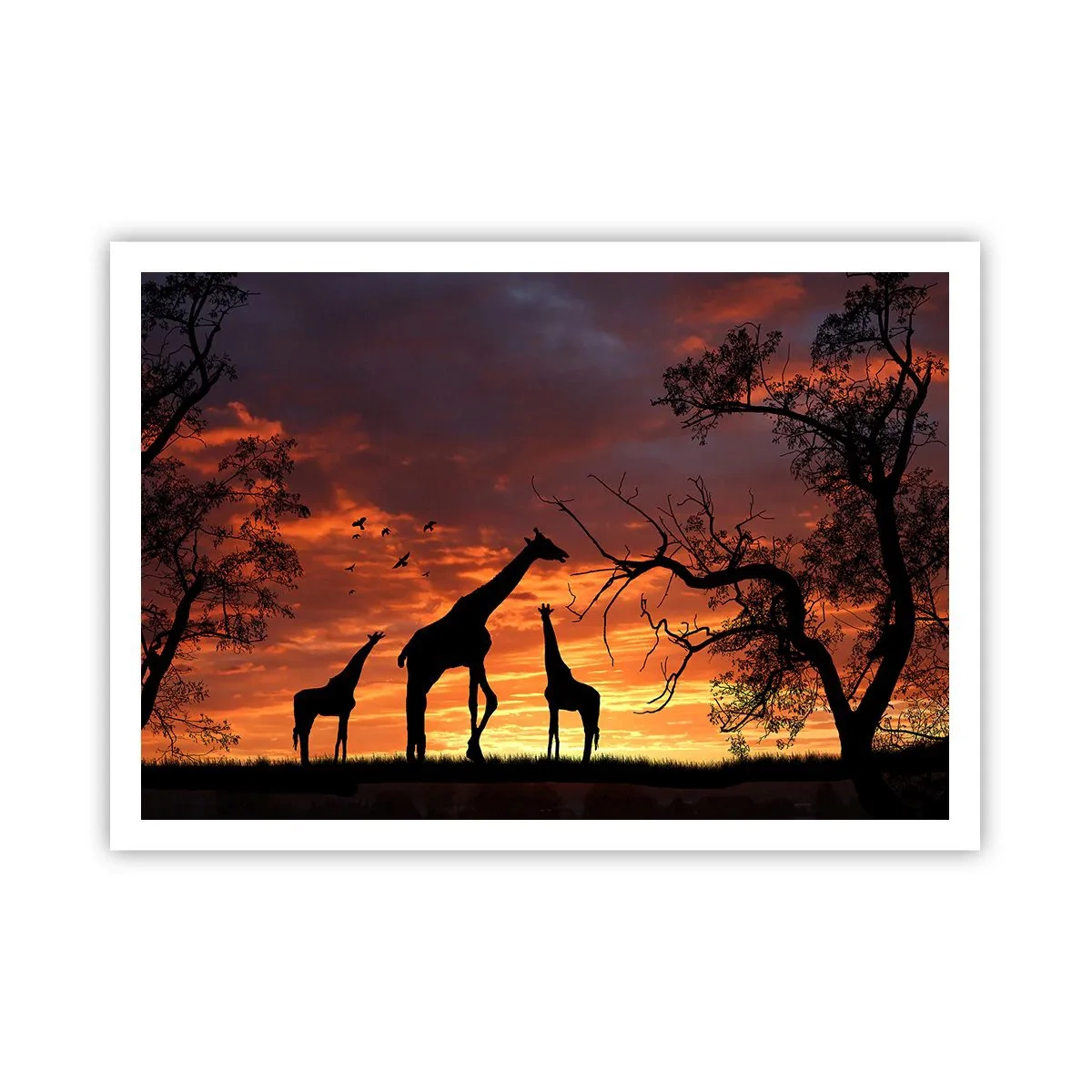 Póster - Siluetas de jirafas con el atardecer africano como telón de fondo - 100x70cm - Una pequeña cena con tus seres queridos - Decoración de pared moderna para salón y dormitorio ARTTOR