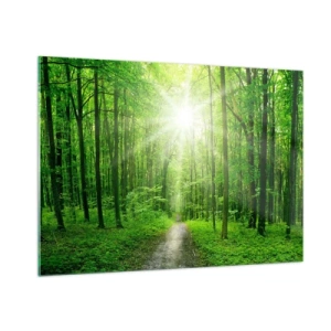 Cuadro sobre vidrio - Impresiones sobre Vidrio - Un camino en el bosque iluminado por los rayos del sol. - 100x70cm - Catedral verde - Decoración de pared moderna para salón y dormitorio ARTTOR