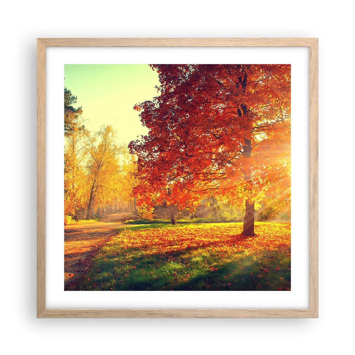 Póster en marco roble claro - El rojo es hermoso - 50x50 cm