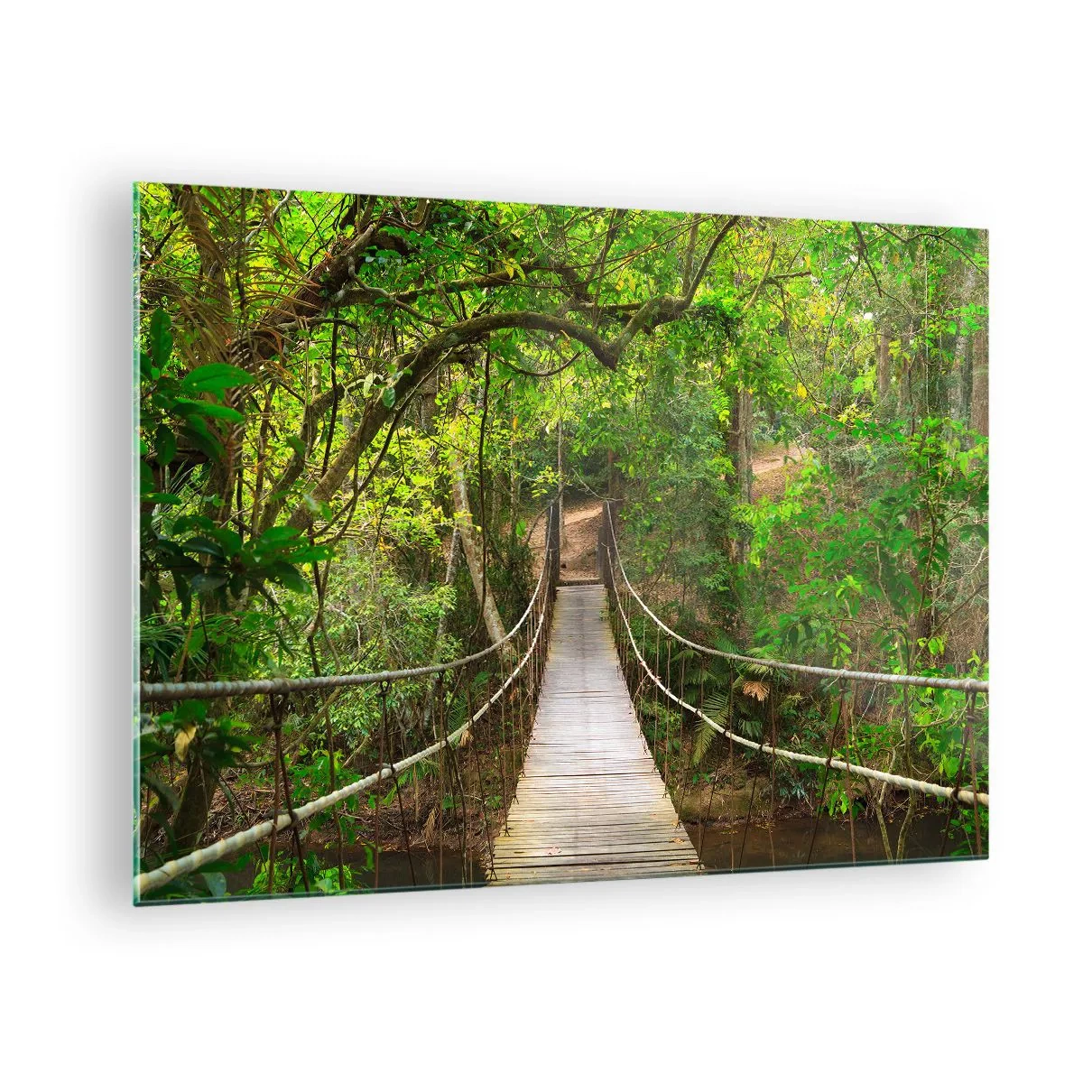 Cuadro sobre vidrio - Impresiones sobre Vidrio - Puente colgante en un bosque tropical - 70x50cm - Porque la vid crece en el jardín - Decoración de pared moderna para salón y dormitorio ARTTOR