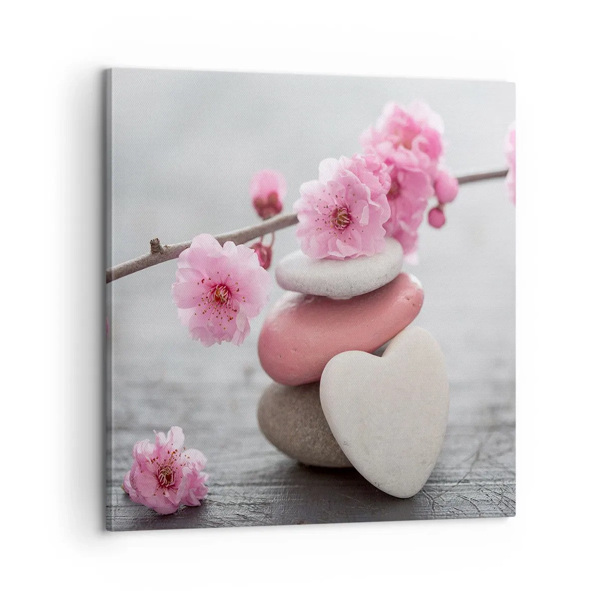 Cuadro sobre lienzo - Impresión de Imagen - Felicidad con la flor del cerezo - 60x60 cm