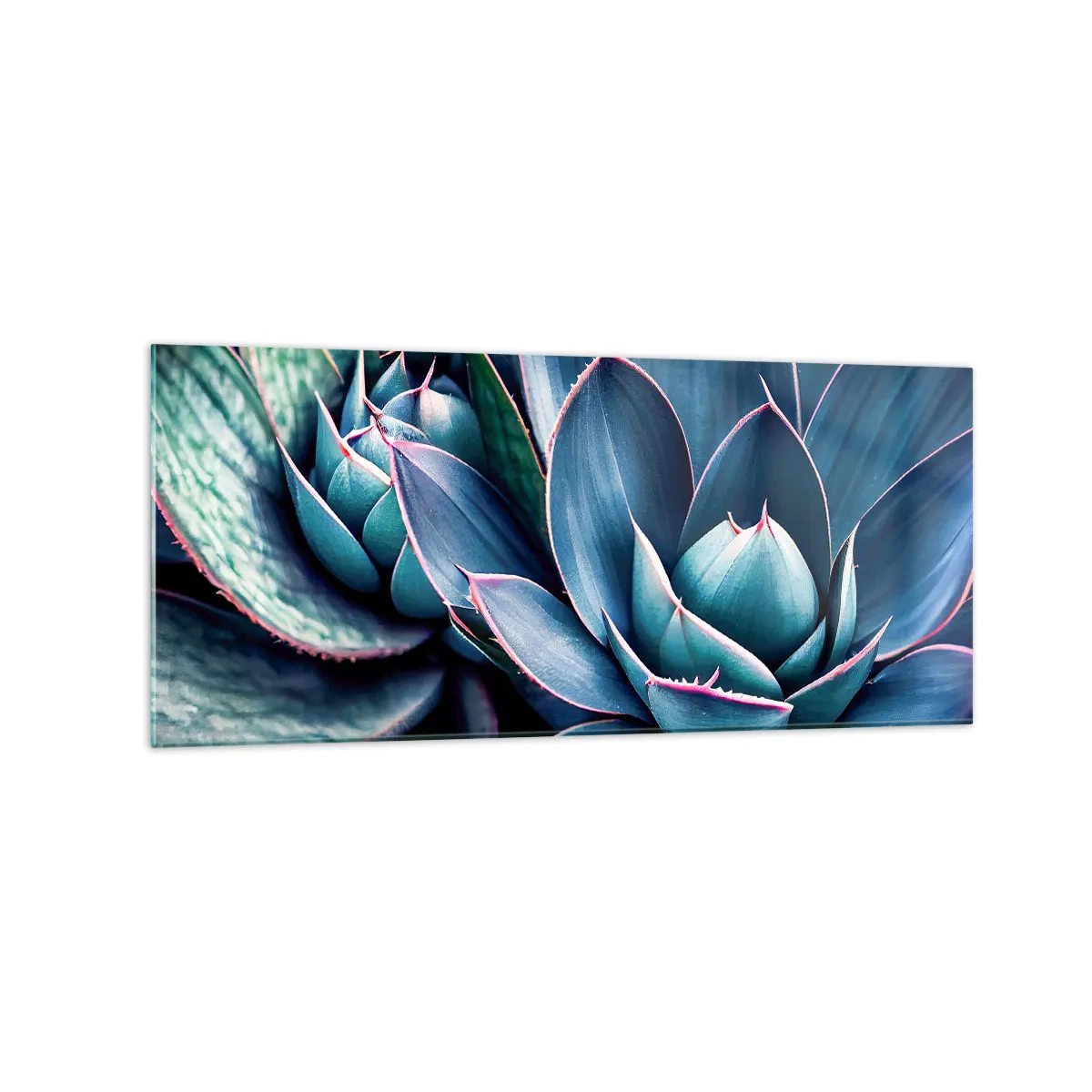 Cuadro sobre vidrio - Impresiones sobre Vidrio - Agave en tonos azules y verdes con acentos rosados. - 120x50cm - Fuerza vital - Decoración de pared moderna para salón y dormitorio ARTTOR
