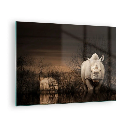 Cuadro sobre vidrio - Impresiones sobre Vidrio - Rinoceronte contra el sol poniente - 70x50cm - El blanco contra la naturaleza - Decoración de pared moderna para salón y dormitorio ARTTOR