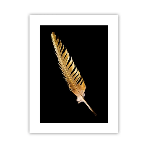 Póster - Pluma de alta calidad - 30x40 cm