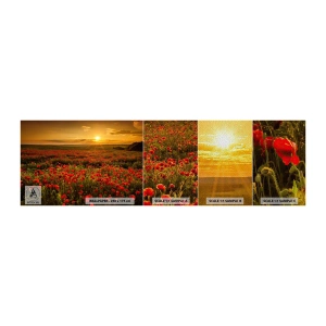 Muestra de fotomural Premium Sand - Entre los campos de flores - Paisaje, flores, amapolas - 100x30 cm