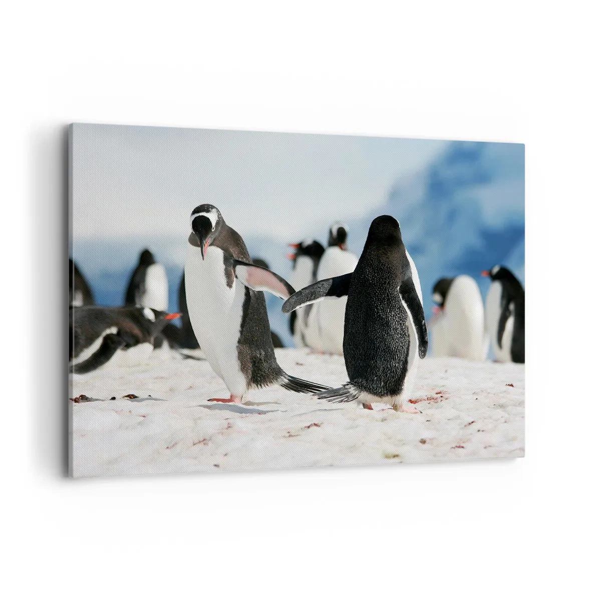 Cuadro sobre lienzo - Impresión de Imagen - Un grupo de pingüinos en la nieve en un paisaje antártico. - 100x70cm - Bailando en la nieve - Decoración de pared moderna para salón y dormitorio ARTTOR