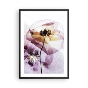 Póster en marco negro - Flores transparentes en tonos pastel - 50x70cm - Cuerpo de flor - Decoración de pared moderna para salón y dormitorio ARTTOR
